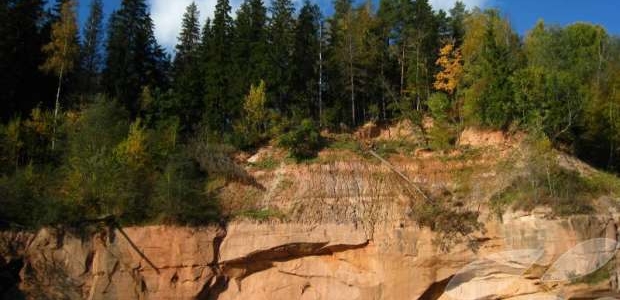 <p>Ķūķu klintis ir augstākais devona iežu atsegums Latvijā - 43m. Augšējo daļu - virs smilšakmeņiem - veido māla slāņi, kas satur daudz pārakmeņotu organismu atlieku. Ķūķu klintis strauji maina savu izskatu upes erozijas un daudzo noslīdeņu dēļ. Dažu gadu laikā krasts atkāpies pat par 10m!</p>
